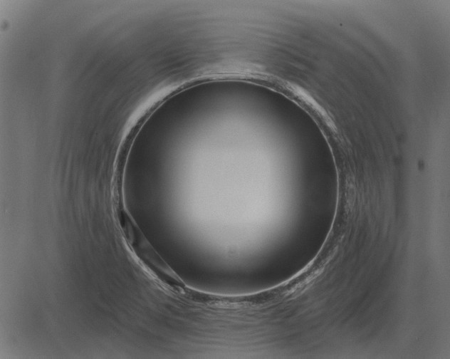 X0000082731469200702091825