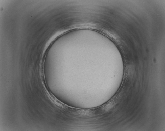 X0000082731470200702091825