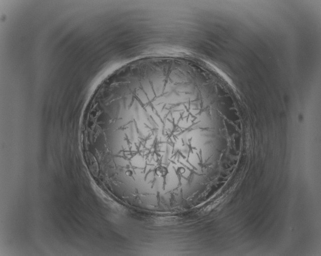 X0000082731471200702091825