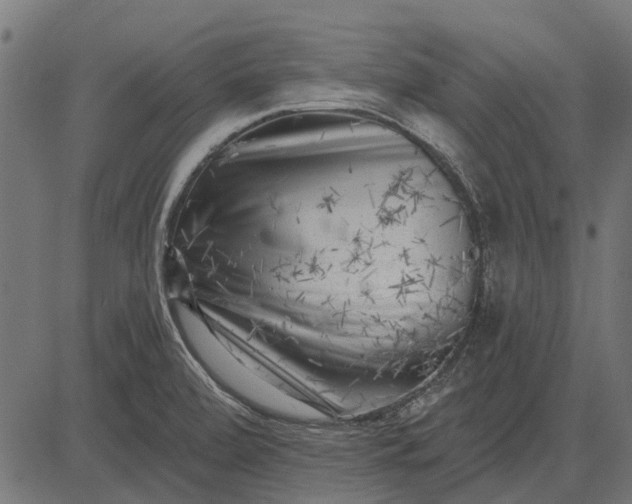 X0000082731472200702091825