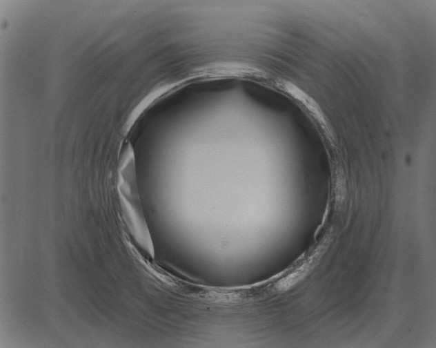 X0000082731473200702091825