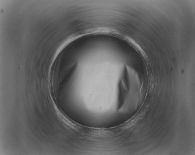 X0000082731475200702091825