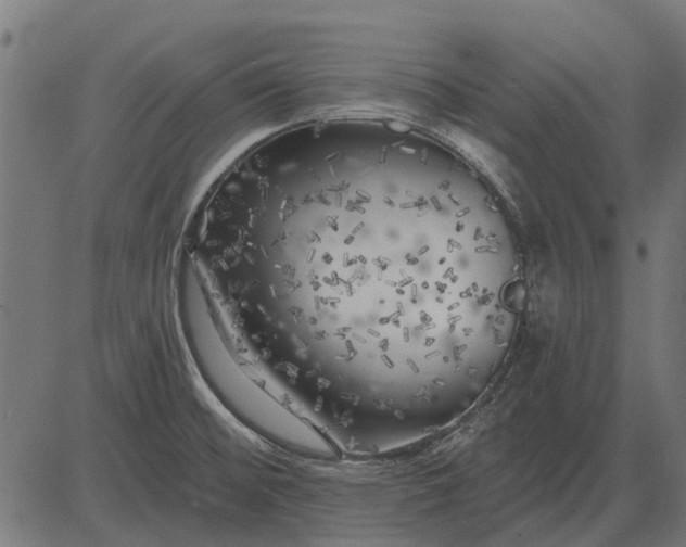 X0000082731476200702091825