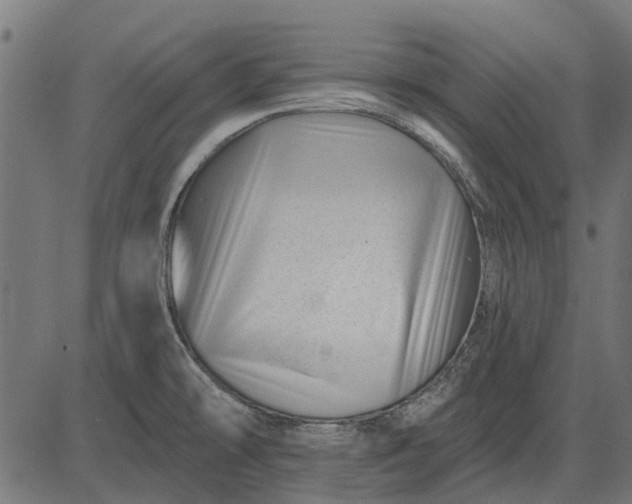 X0000082731478200702091825