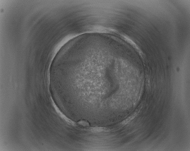 X0000082731479200702091825