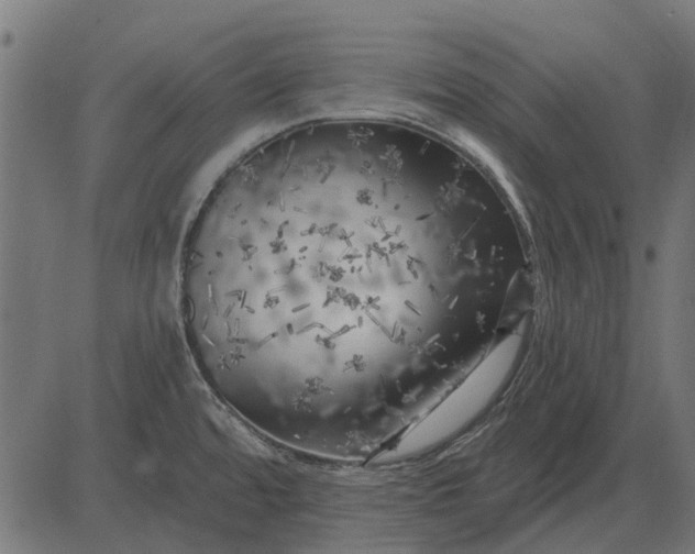 X0000082731480200702091825