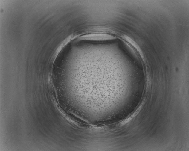 X0000082731481200702091825