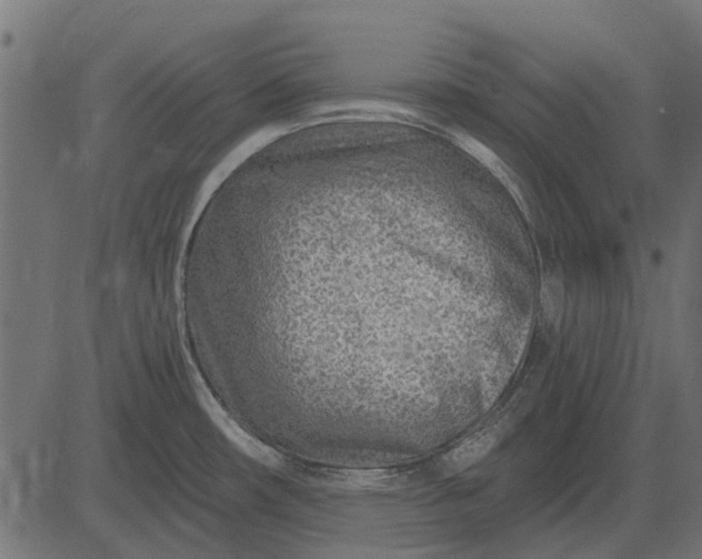 X0000082731482200702091825