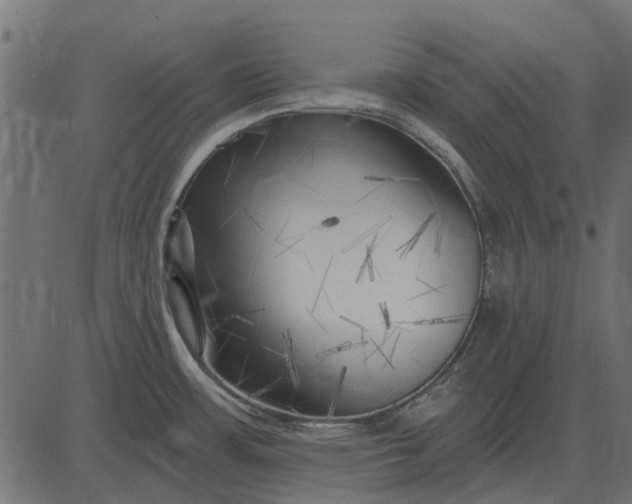 X0000082731483200702091825