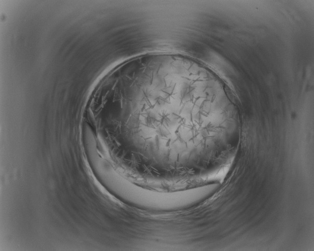 X0000082731484200702091825