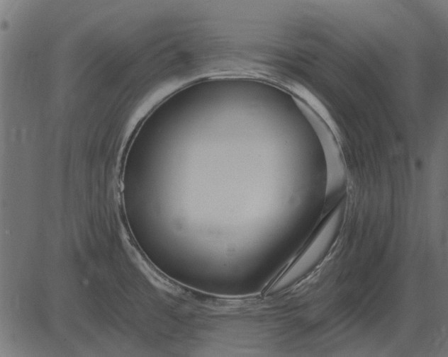 X0000082731485200702091825