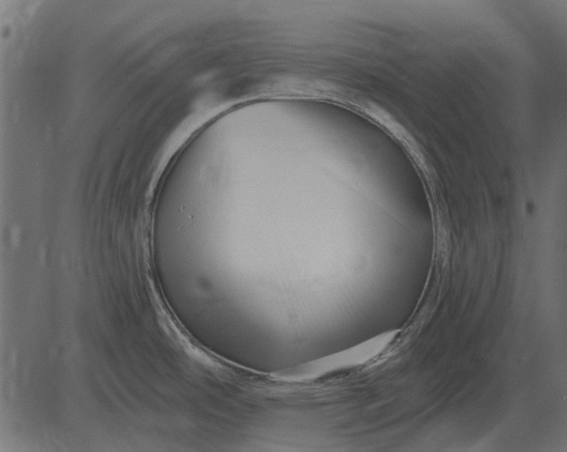 X0000082731486200702091825