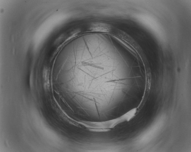 X0000082731487200702091825