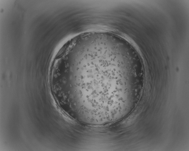 X0000082731488200702091825