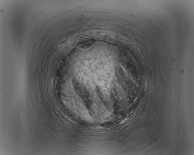 X0000082731489200702091824