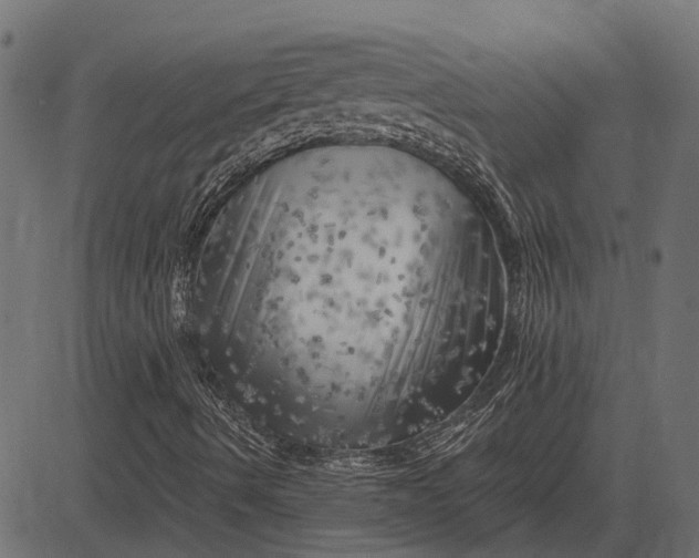 X0000082731490200702091824