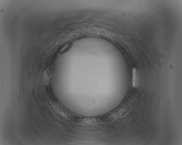 X0000082731491200702091824