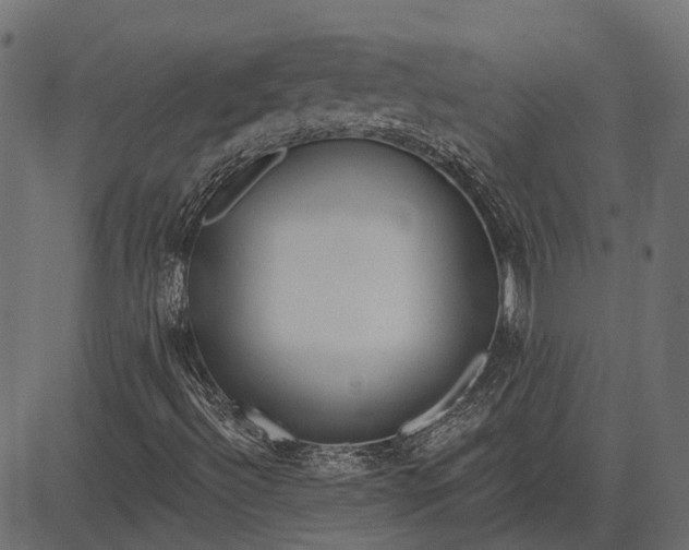 X0000082731492200702091824