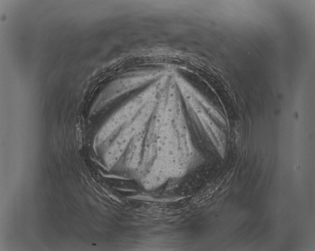 X0000082731493200702091824