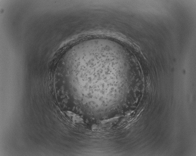 X0000082731494200702091824