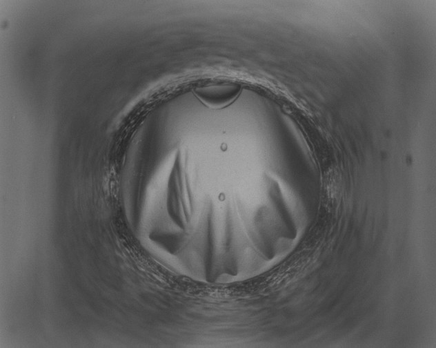 X0000082731495200702091824