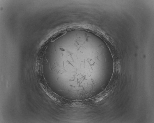 X0000082731496200702091824