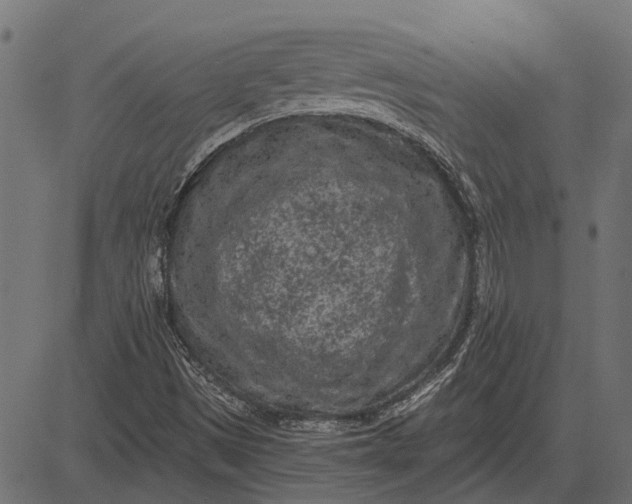 X0000082731497200702091824