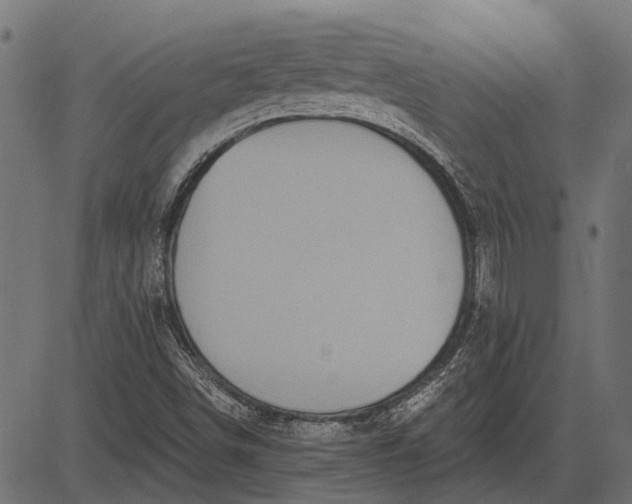 X0000082731498200702091824