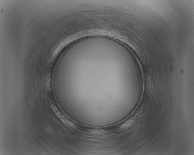 X0000082731499200702091824