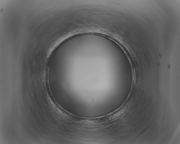 X0000082731500200702091824