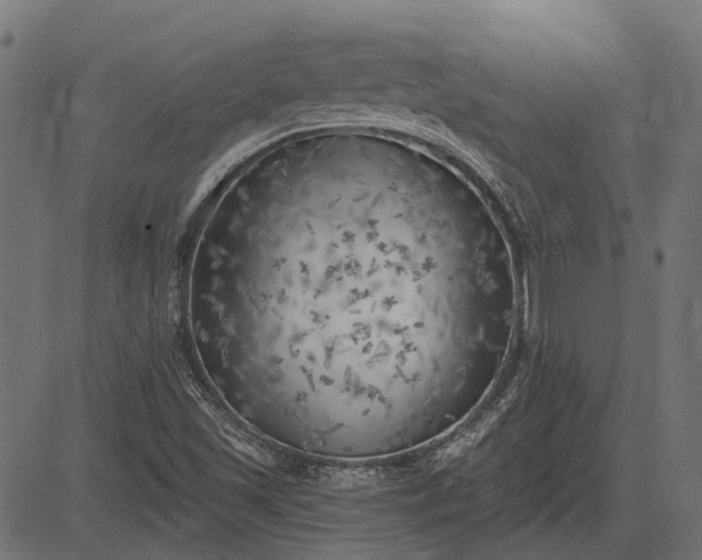 X0000082731501200702091824