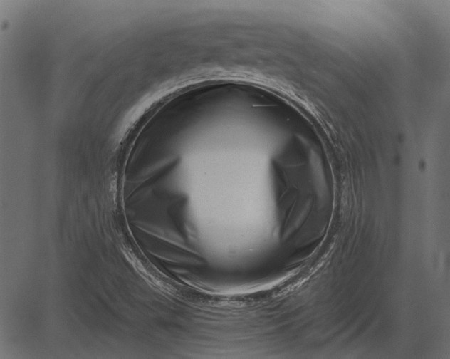 X0000082731503200702091824