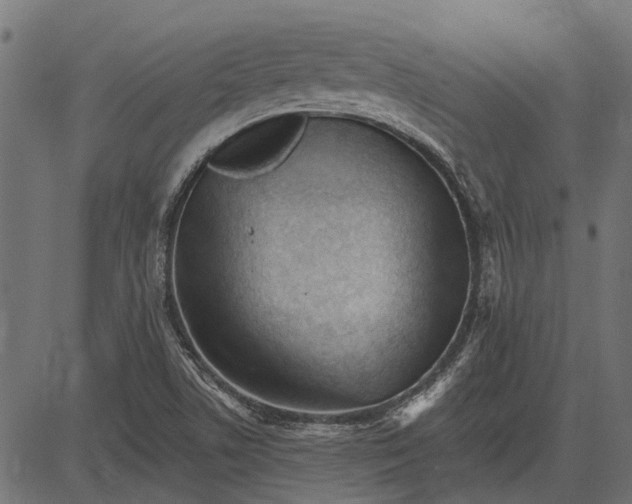 X0000082731506200702091824