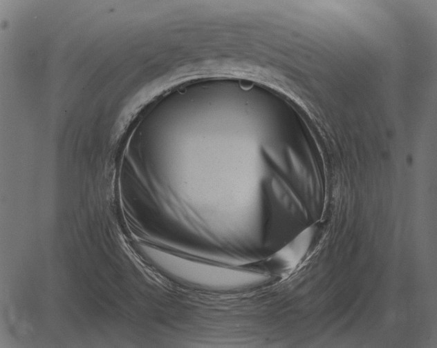 X0000082731507200702091824