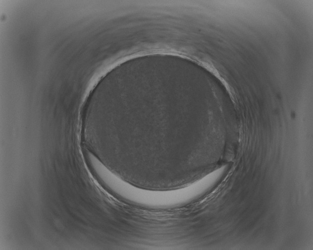 X0000082731508200702091824