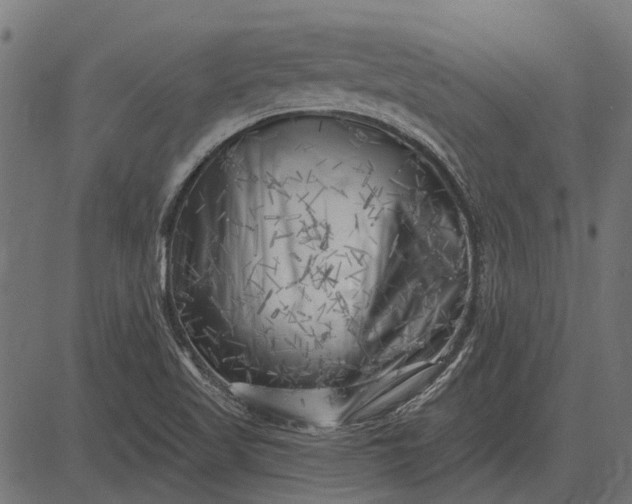 X0000082731509200702091825