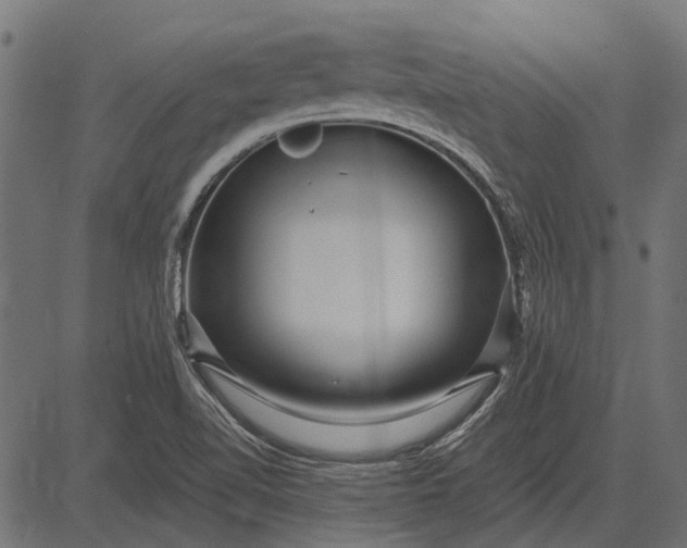 X0000082731510200702091825