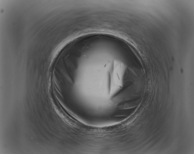 X0000082731511200702091825