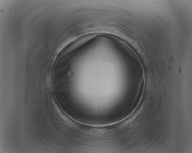 X0000082731513200702091825