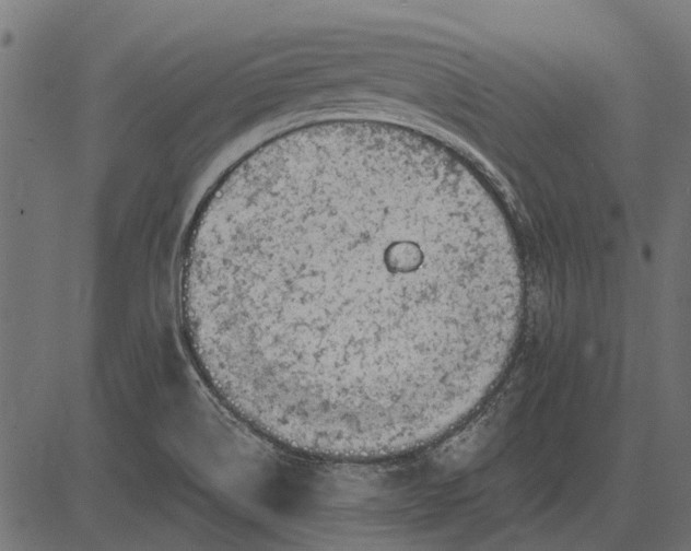 X0000082731514200702091825