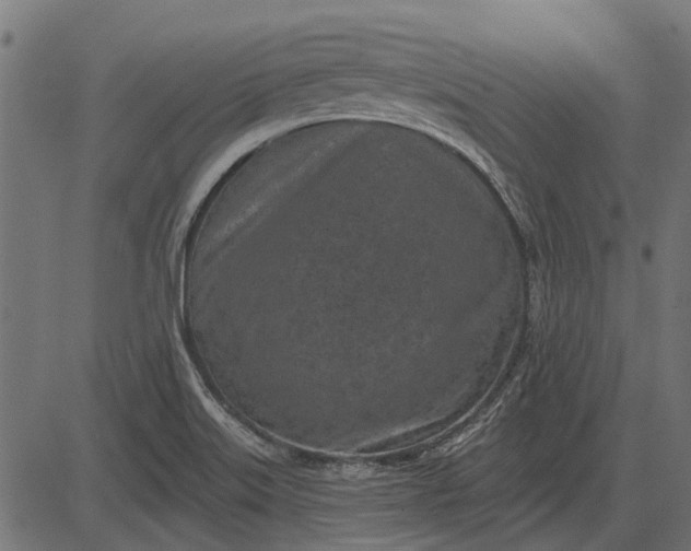 X0000082731515200702091825