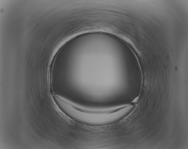 X0000082731516200702091825