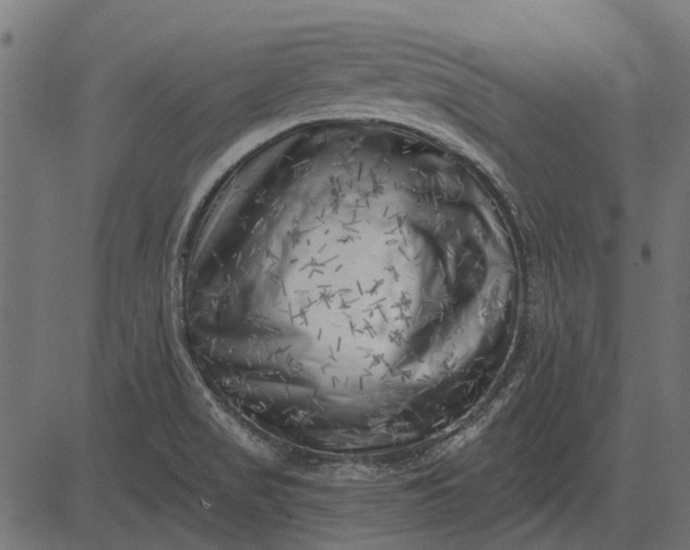 X0000082731517200702091825