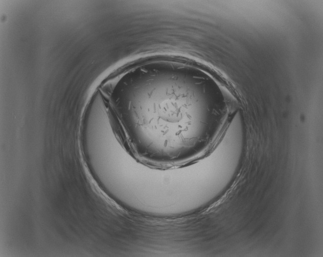 X0000082731518200702091825