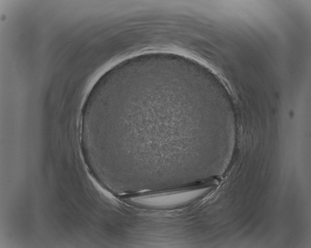 X0000082731519200702091825