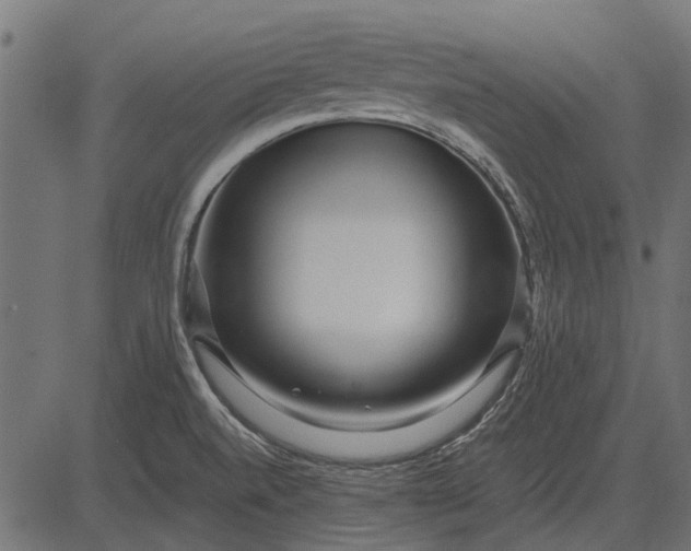 X0000082731520200702091825