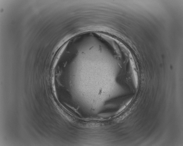 X0000082731521200702091825