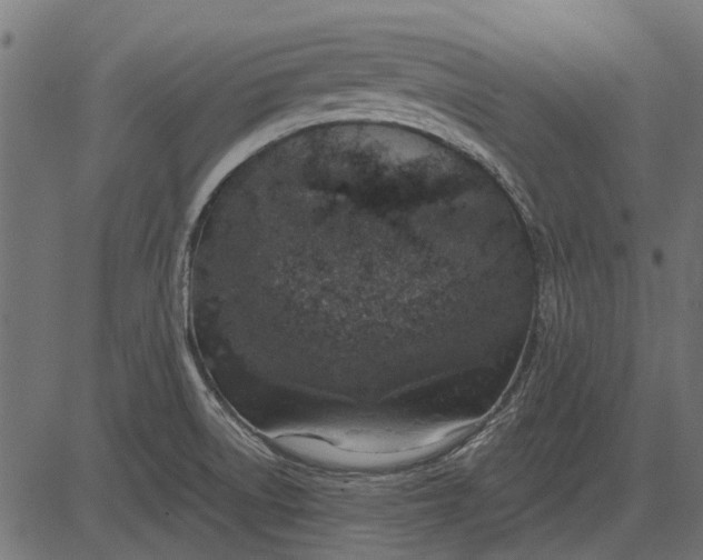 X0000082731522200702091825