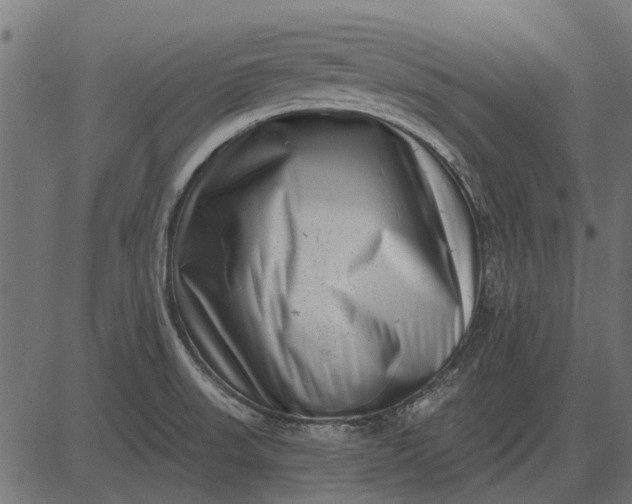 X0000082731523200702091825