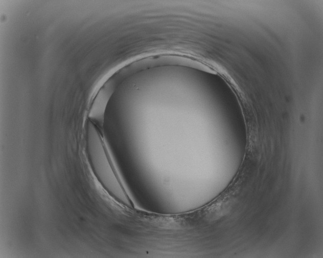 X0000082731524200702091825